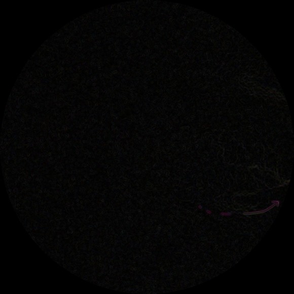 qot224